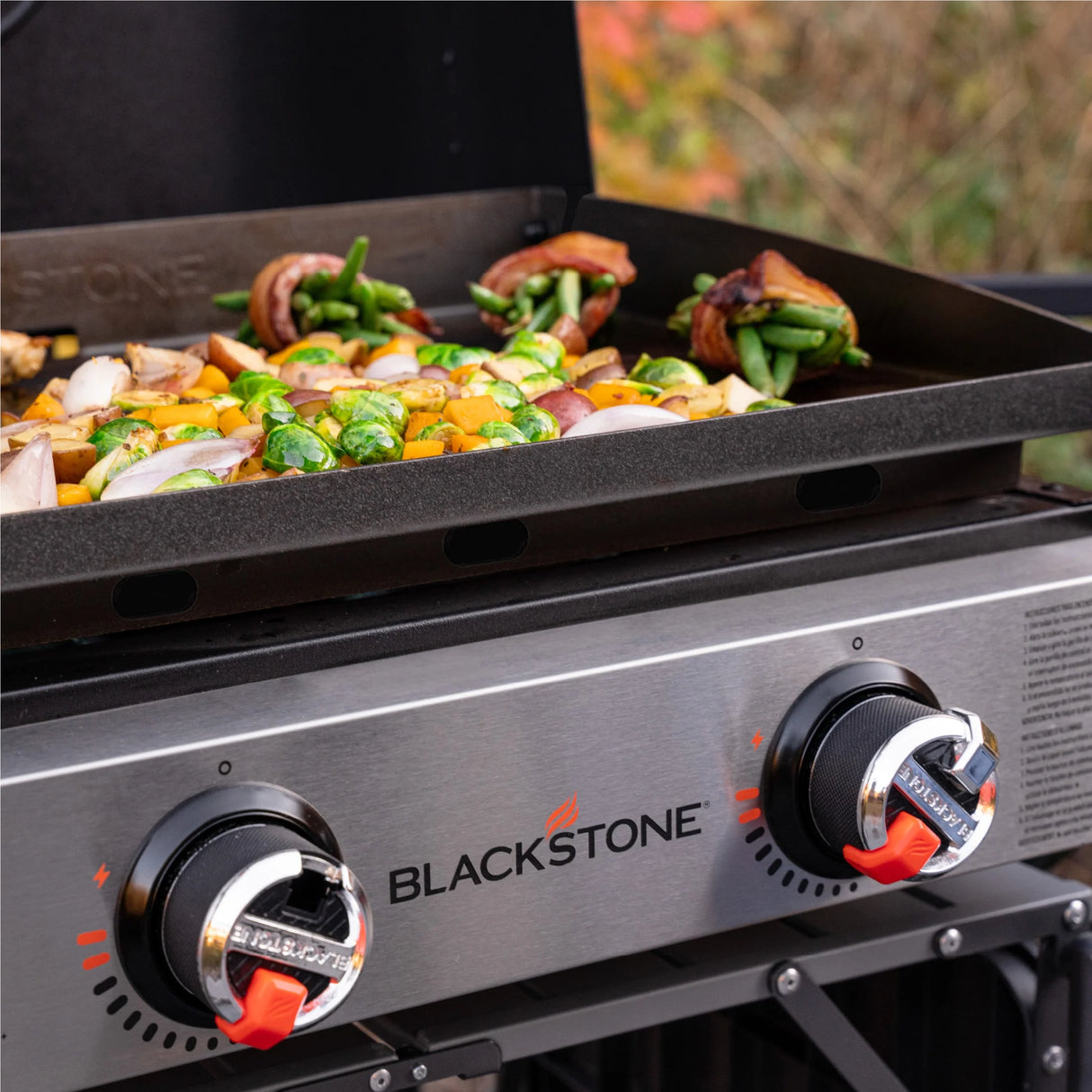 Blackstone 22" Tabletop Griddle with Hood