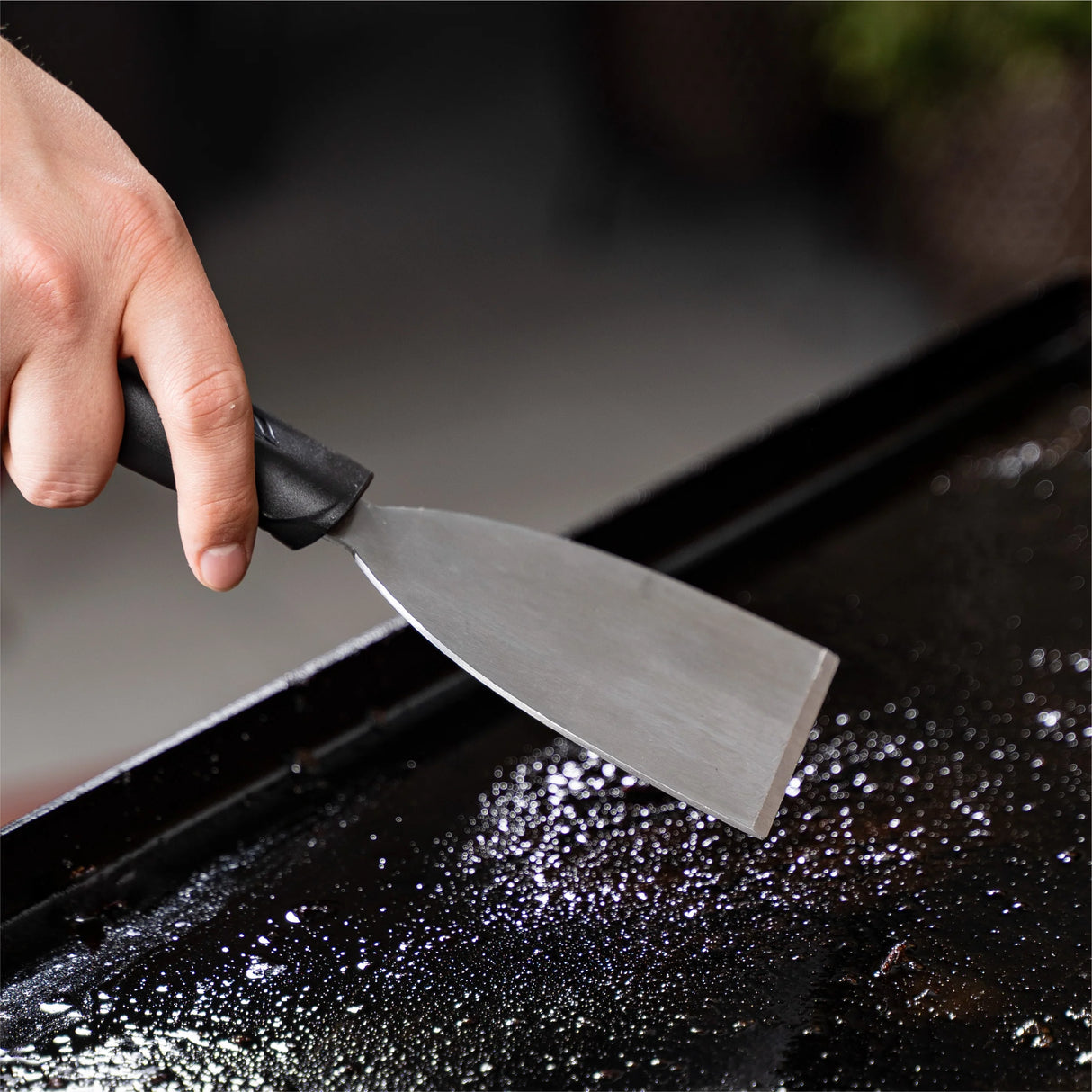 Blackstone Cleaning Kit