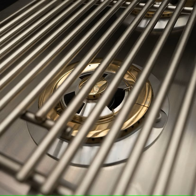 Professional double side burner